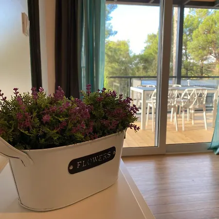 Kamp alanı Mobile Divina Camp Porton Nature Hideouts Rovinj