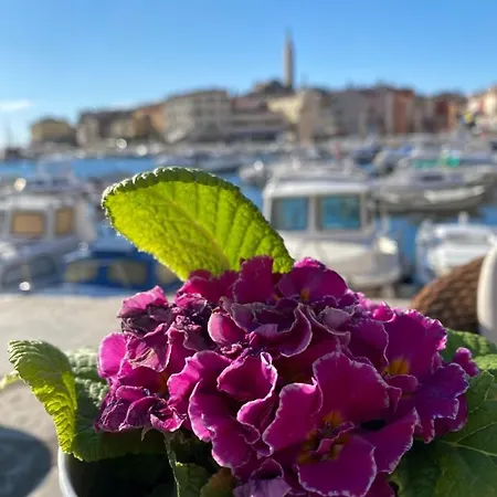 Mobile Divina Camp Porton Nature Hideouts مكان تخييم *